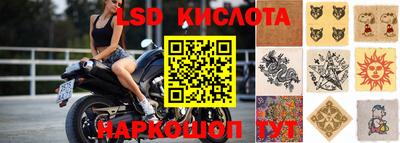 spice Новозыбков