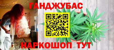 крисы Новодвинск