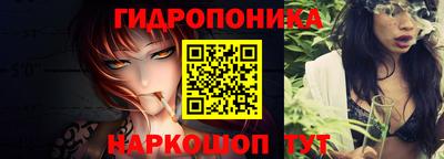 spice Новозыбков