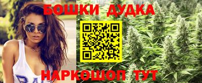 spice Новозыбков