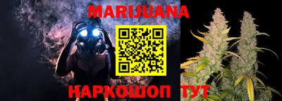 крисы Новодвинск