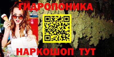 дурь Кудрово