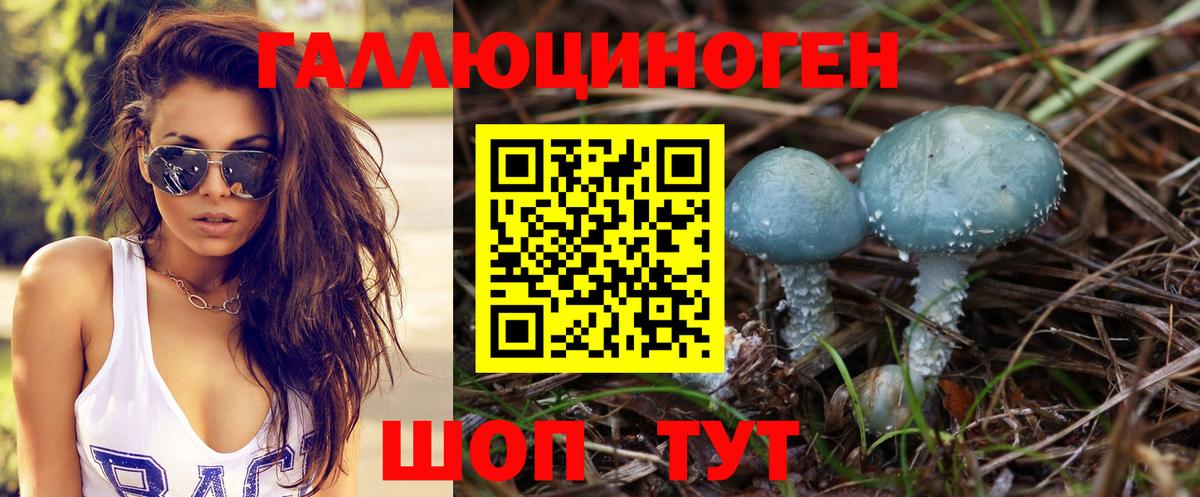 ГАШ Сургут